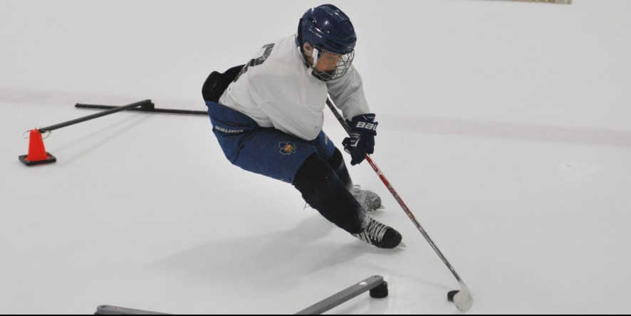 Comprehensive Skills Development | 2015-2017's group