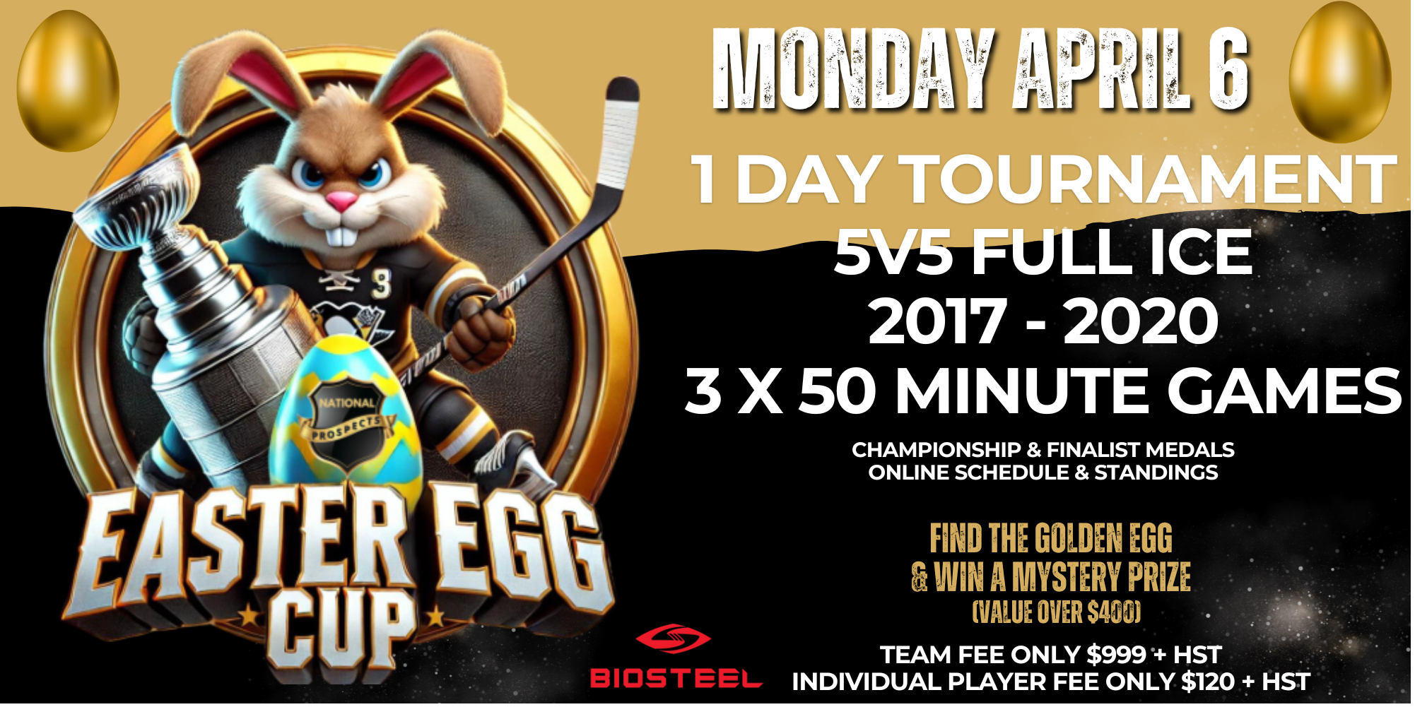 2017 - 2020 PLAYER REGISTRATION EASTER EGG CUP