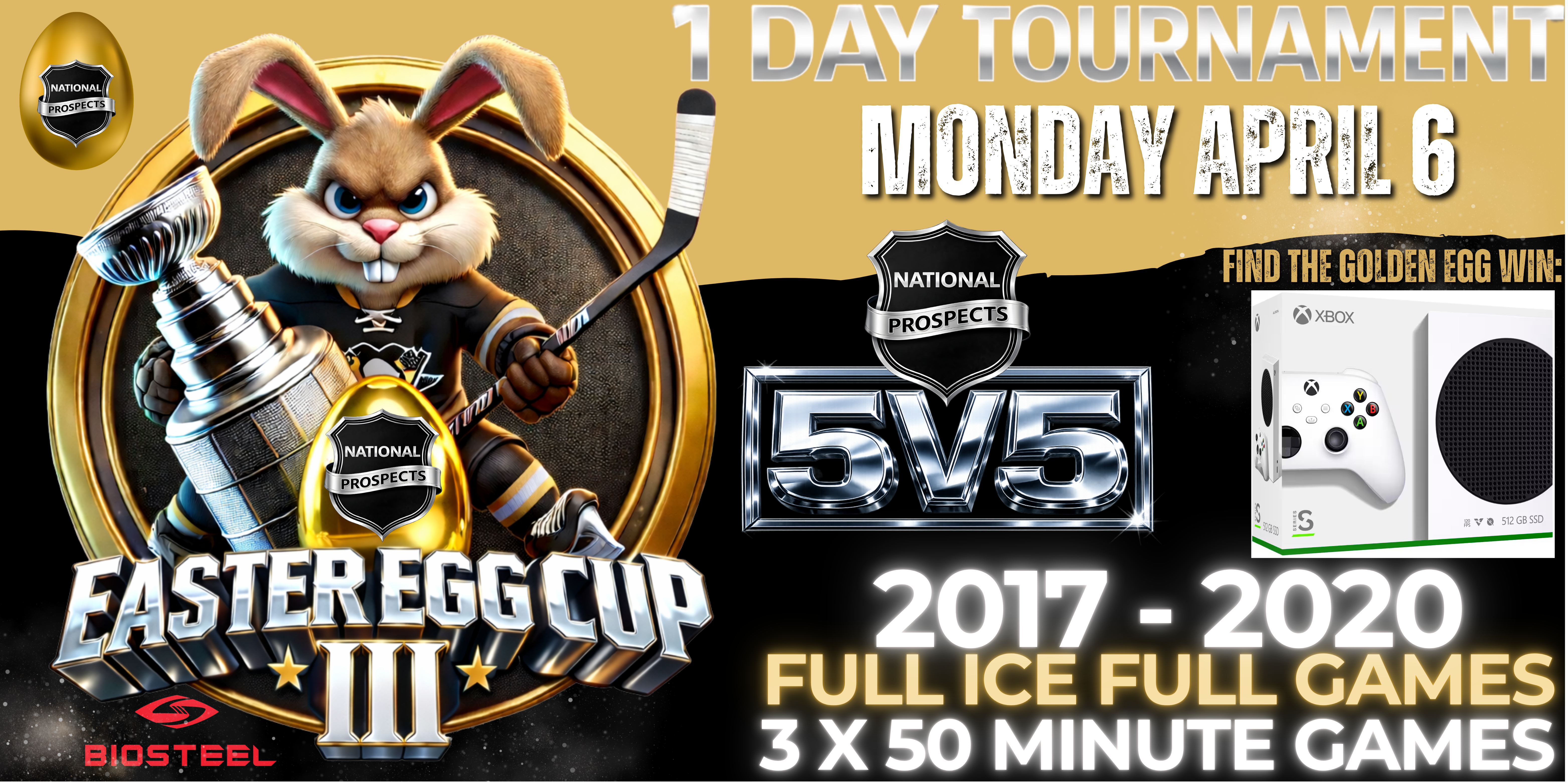 2017 - 2020 PLAYER REGISTRATION EASTER EGG CUP